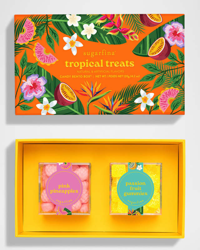 Tropical Treats 2-Piece Bento Box